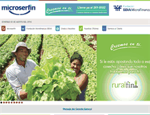 Tablet Screenshot of microserfin.com
